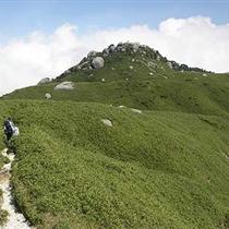 Japan Mt.