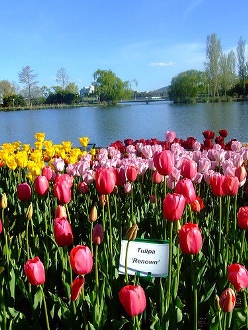 Floriade