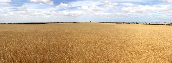 South Australia