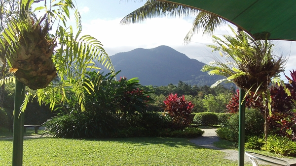 daintree-ice-cream-view view from daintree ice cream company