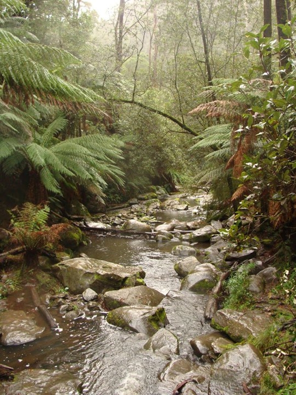erskine falls