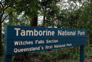 tamborine national park