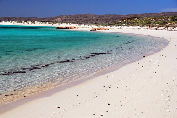 ningaloo reef