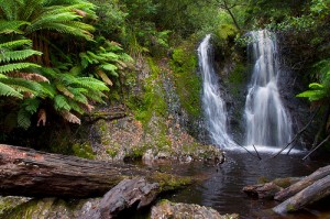tasmania