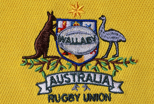 wallabies