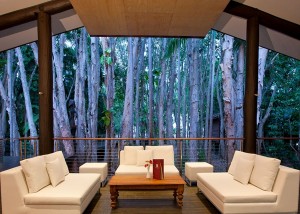 Forest Lounge Bar at Kewarra 2
