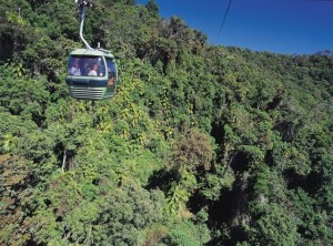 skyrail to Kuranda