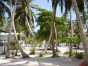 Tobacco Caye – Not your typical island paradise