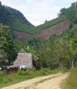 Maya village homestay program in Punta Gorda