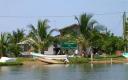 Monkey River Village and jungle/river tour