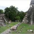 Getting from Belize City to Tikal