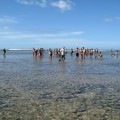 Try Recife for Your Next Brazil Trip
