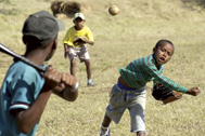 Dominican Baseball