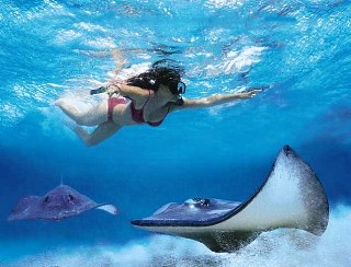 Cayman Islands