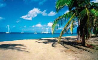 St. Kitts & Nevis