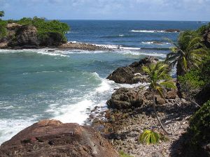 Caribbean
