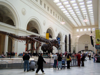 museumchiacgo2