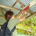 Coolest Places to Volunteer in Costa Rica