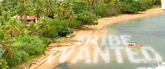 header-island.jpg