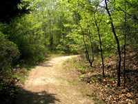 img_3279_1.JPG