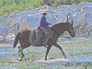 pantanal_image2.jpg