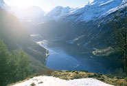 site_1195.jpg