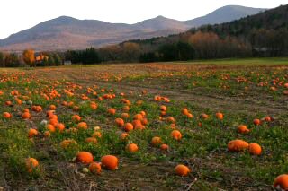 vermont.jpg