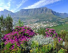 wctourist-40.jpg