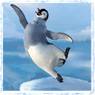 happyfeet.jpg