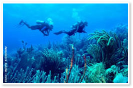 klein-curacao-web.jpg
