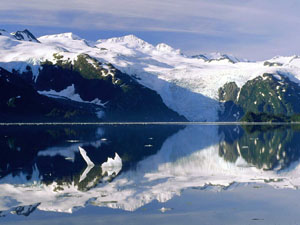 alasa2.jpg