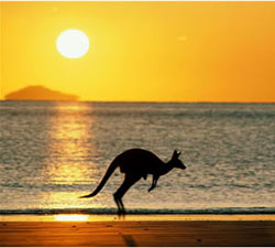 australia_kangaroo2.jpg
