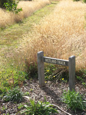 wetlandtrack2.jpg