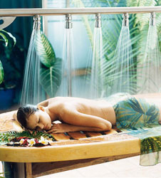 daintreeecolodgespa.jpg