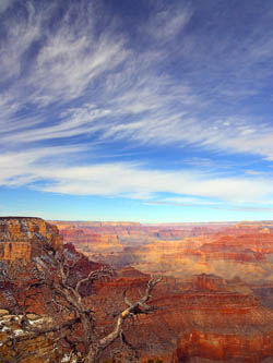 grand-canyon1.jpg