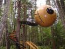Book a Tree House Holiday for a Unique Eco Experience