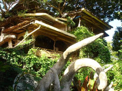 enigmata-ecolodge.jpg