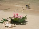 Green Honeymoon Ideas