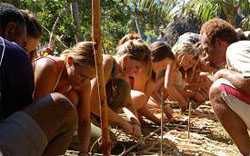 tribewanted1.jpg