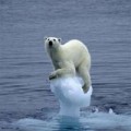 Go Green Travel Green Blog is Ecotourism Logue Favourite