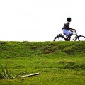 Simple Travel Tips for Going Green