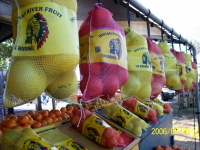 Roadside Fruit Stand, Crystal River, Florida (Scarborough photo)