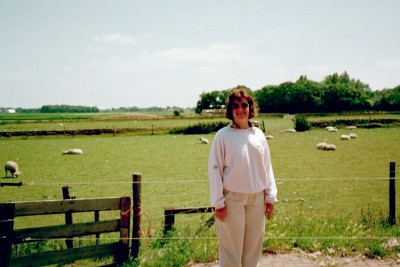 Fluffy Sheep & Wide-Open Spaces, Texel (Scarborough photo)
