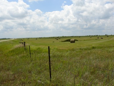 Grasses and hayfield, Flint Hills region, Kansas (Scarborough photo)