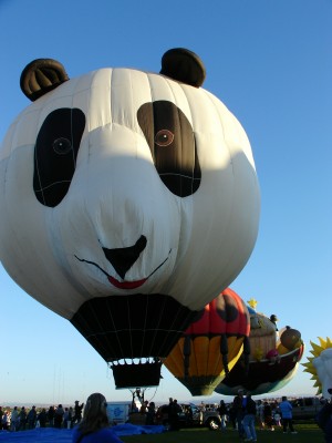 A panda balloon, one of many special shapes balloons at Balloon Fiesta, Albuquerque (Scarborough photo)
