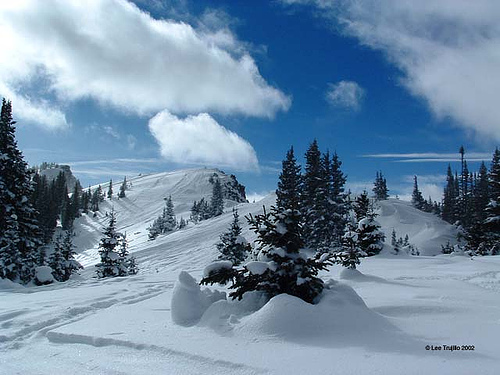 Near Grand Lake, Colorado (courtesy justasungod at flickr's CC)