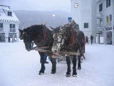 New Hampshire sleigh ride (courtesy Andrea Calabretta)