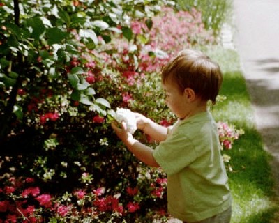 A gentle touch at the Keukenhof Gardens, the Netherlands (Scarborough photo)