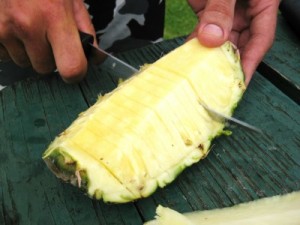 Fresh pineapple after a Waimea Canyon hike on Kauai (photo by Sheila Scarborough)
