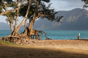 Bellows Beach, a military recreation facility on Oahu (courtesy Cadet X on Flickr CC)
